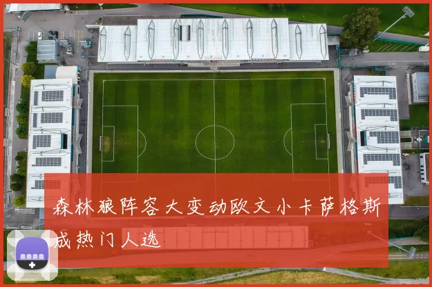森林狼阵容大变动欧文小卡萨格斯成热门人选