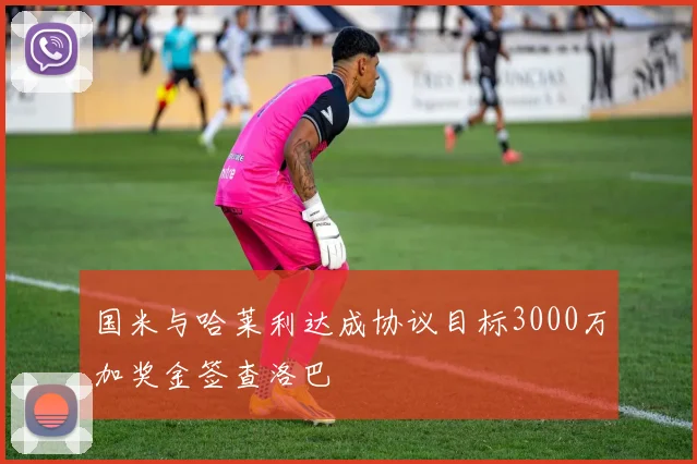 国米与哈莱利达成协议目标3000万加奖金签查洛巴