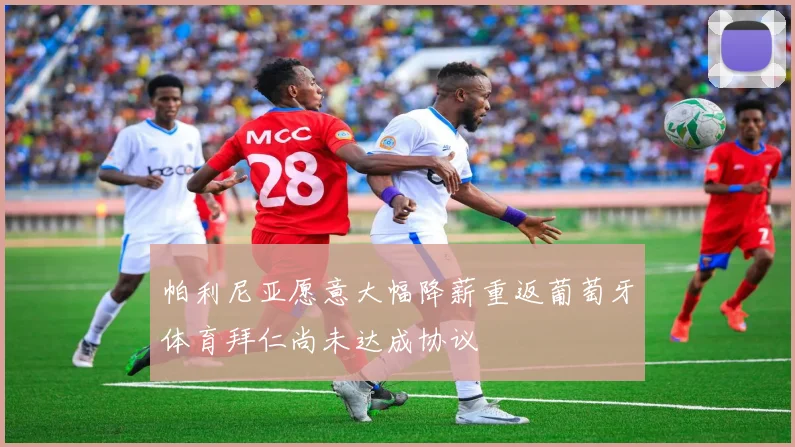 帕利尼亚愿意大幅降薪重返葡萄牙体育拜仁尚未达成协议